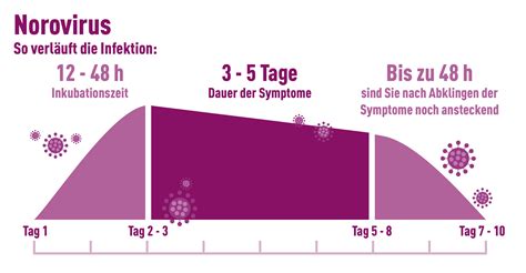 norovirus ansteckung wie lange